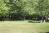Apple Valley Lake View Property