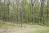 Wooded Setting in Apple Valley