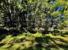 Lot 136 Grand Valley View Apple Valley Lake  - Apple Valley Lake Homes Apple Valley Lake Homes For Sale